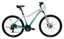 Велосипед Tech Team Delta 26"х14" серебряный 2025