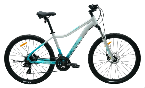 Велосипед Tech Team Delta 29"х19 серебряный фото 5